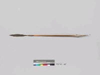 藏品(矛)的圖片